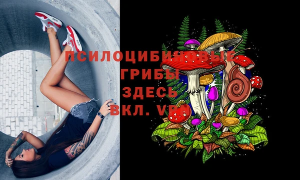 скорость Верхний Тагил